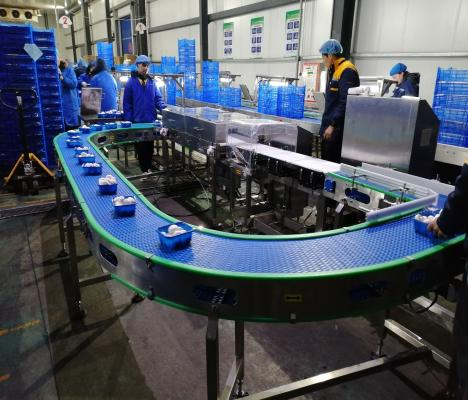 定制分道剔除输送